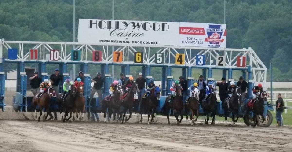Carreras americanas de hoy Hipódromo Penn National - Carreras de caballo en vivo 29 de julio VIPbet apuestas hipicas internacionales