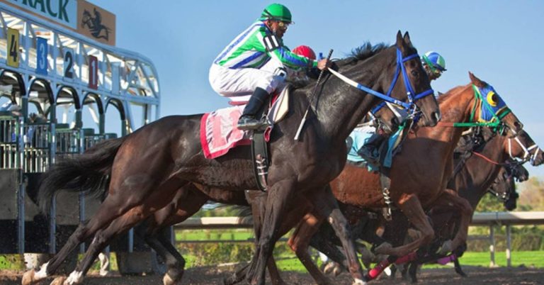 Datos de carreras americanas en vivo Hipódromo Fort Erie 28 de julio VIPbet apuestas hipicas internacionales