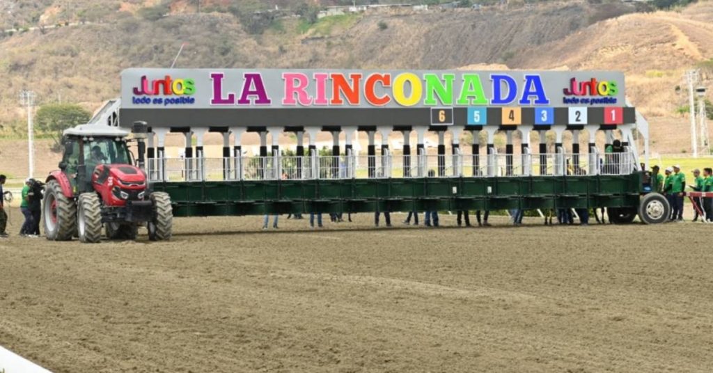 Datos para La Rinconada Domingo 26 de julio Cuadro del 5y6 para el Hipódromo VIPbet apuestas hípicas