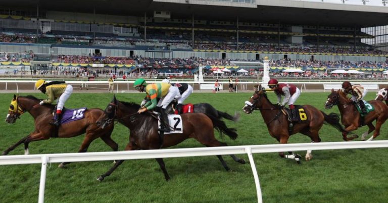 Datos y Picks Gratis para el Hipódromo Woodbine hoy 30 de julio VIPbet pronosticos de carreras americanas