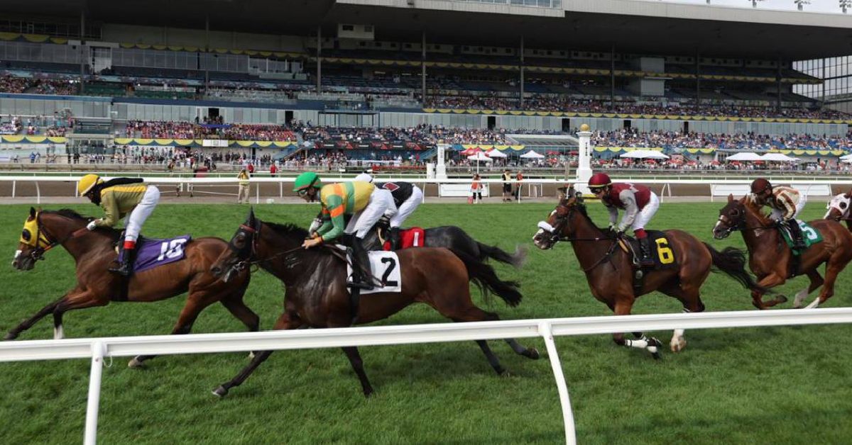 Datos y Picks Gratis para el Hipódromo Woodbine hoy 30 de julio VIPbet pronosticos de carreras americanas