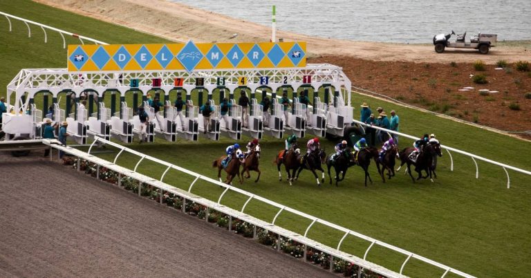 Hipódromo Del Mar ejemplar fijo - Pronósticos y datos de carreras americanas de hoy 25 de Julio VIPbet apuestas hipicas internacionales
