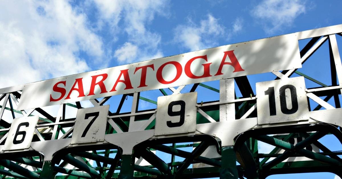 Picks Gratis Hipódromo Saratoga hoy 1 de agosto Vipbet pronosticos de carreras americanas