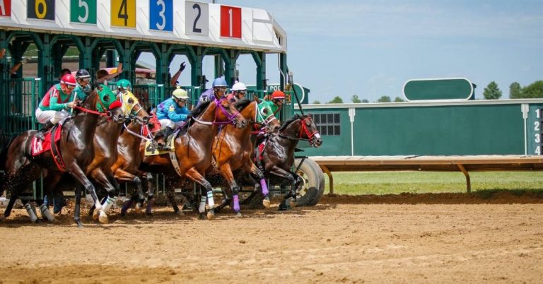 Picks y datos de hoy Hipódromo Fairmount Park 28 de julio VIPbet carreras americanas