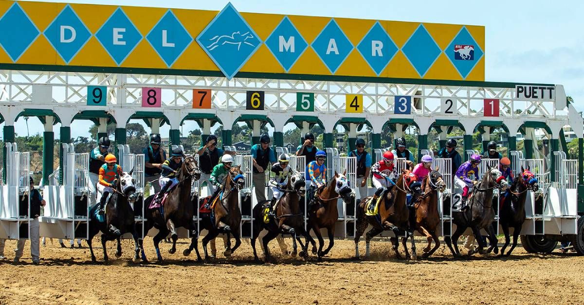 Picks y datos para el Hipódromo Del Mar hoy 30 de julio VIPbet carreras americanas de hoy