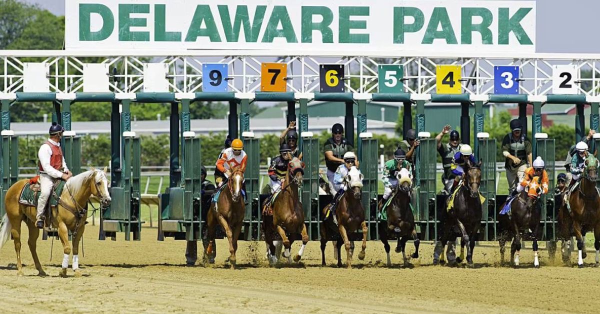 Pronósticos y Picks Gratis Hipódromo Delaware hoy 29 de julio VIPbet carreras americanas apuestas hipicas internacionales