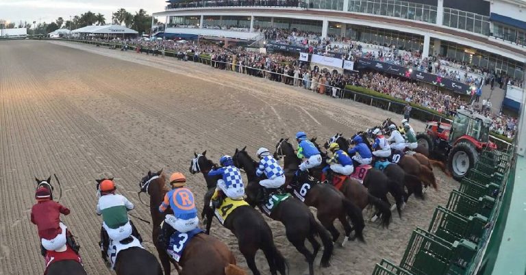 Carreras americanas Gulfstream Park hoy 30 de agosto programa y resultados en vivo para tus apuestas hipicas VIPbet