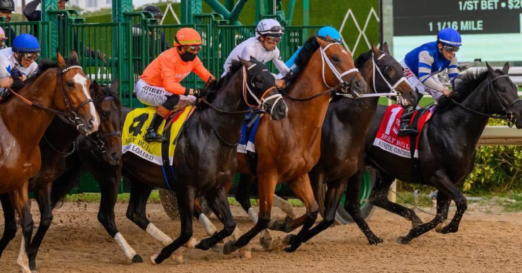 Carreras americanas en Gulfstream Park hoy 23 de agosto VIPbet programa en vivo y apuestas