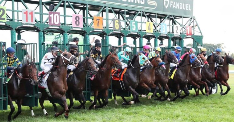 Carreras en vivo y Picks Kentucky Downs hoy 29 de agosto resultados de carreras americanas VIPbet apuestas hipicas