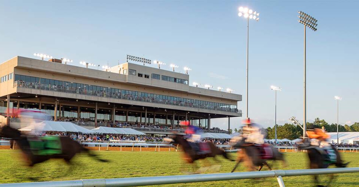 Colonial Downs Picks Gratis de hoy 14 de agosto Resultados de carreras americanas VIPbet apuestas horse racing