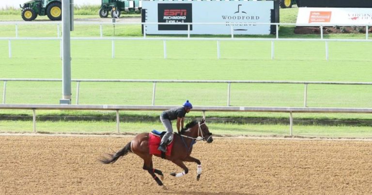 Colonial Downs datos y picks de hoy 20 de agosto carreras en vivo VIPbet apuestas de carreras americanas