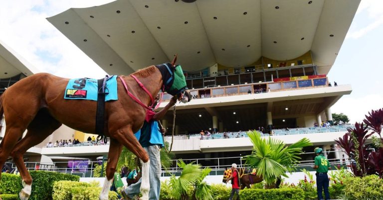 Cuadro del 5y6 Hipódromo La Rinconada para hoy 30 de agosto pronosticos hipicos VIPbet