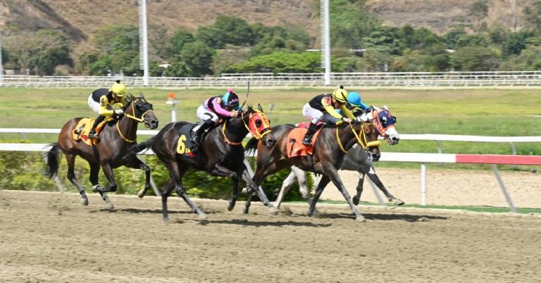 Cuadro del 5y6 para el Hipódromo La Rinconada para hoy 16 de agosto VIPbet apuestas hipicas en venezuela