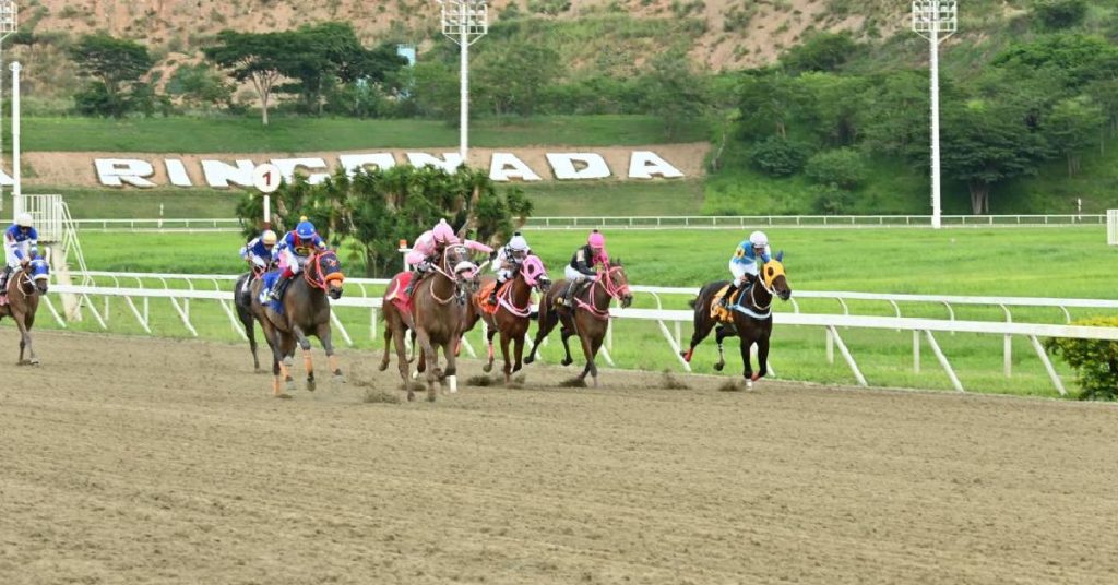 Cuadro del 5y6 para el Hipódromo La Rinconada para hoy 23 de agosto apuestas hipicas nacional VIPbet