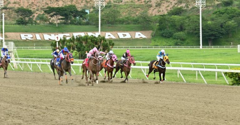 Cuadro del 5y6 para el Hipódromo La Rinconada para hoy 23 de agosto apuestas hipicas nacional VIPbet