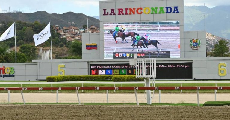Cuadro del 5y6 para el Hipódromo La Rinconada para hoy 9 de agosto VIPbet apuestas hipicas nacionales