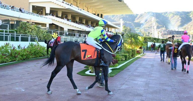 Datos Fijos Pronóstico Reunión 33 Hipódromo La Rinconada hipismo nacional VIPbet