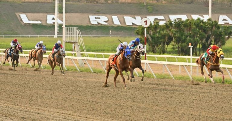 Datos Fijos Pronóstico Reunión 34 Hipódromo La Rinconada VIPbet apuestas nacionales