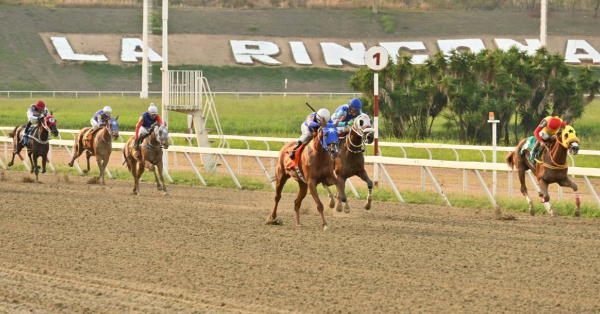 Datos Fijos Pronóstico Reunión 34 Hipódromo La Rinconada VIPbet apuestas nacionales