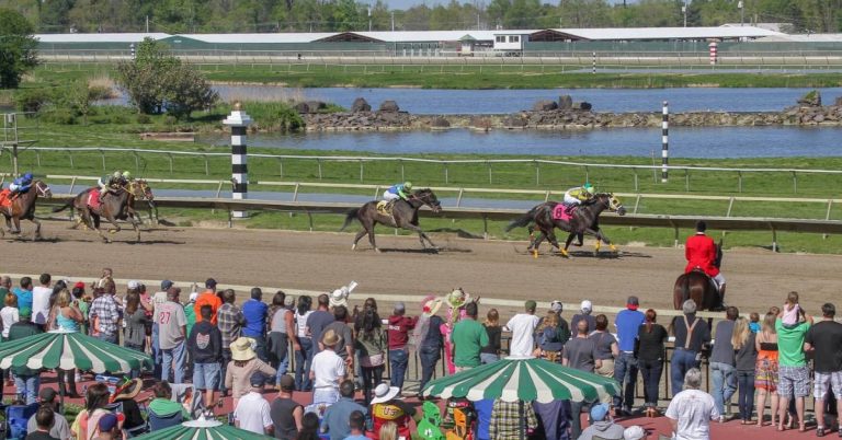 Datos de Parx Racing Picks en español 25 de agosto Carreras americanas VIPbet apuestas hipicas