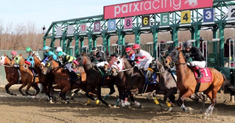 Datos de Parx Racing y Picks de hoy 17 de agosto programa de carreras americanas VIPbet