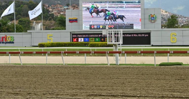 Datos de última hora hoy 2 de agosto en La Rinconada - Apuestas hípicas VIPbet carreras de caballo en venezuela