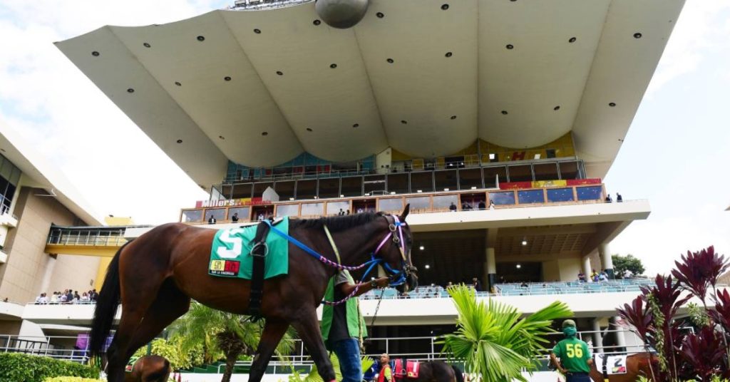 Datos fijos de la Polla en la Rinconada del 23 de agosto Hipismo nacional VIPbet