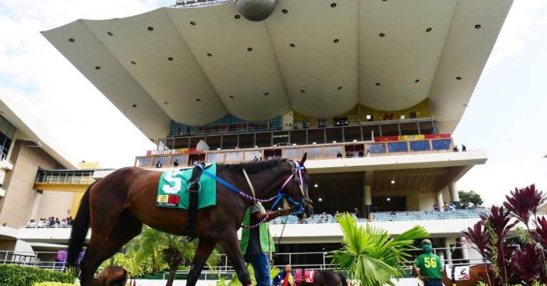 Datos fijos de la Polla en la Rinconada del 23 de agosto Hipismo nacional VIPbet