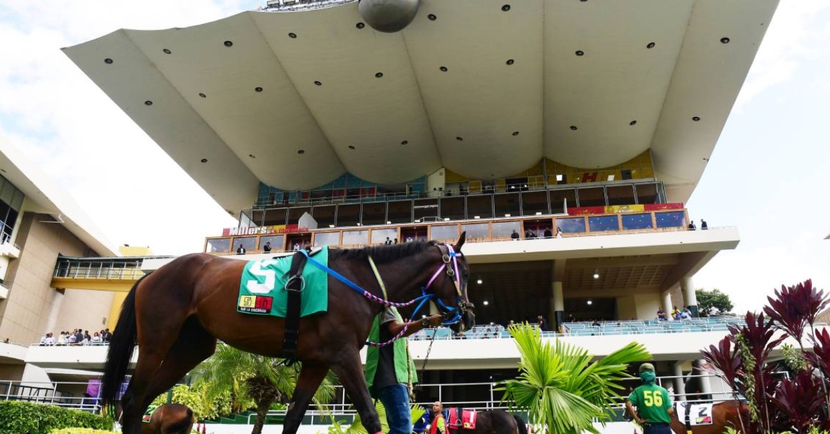 Datos fijos de la Polla en la Rinconada del 23 de agosto Hipismo nacional VIPbet