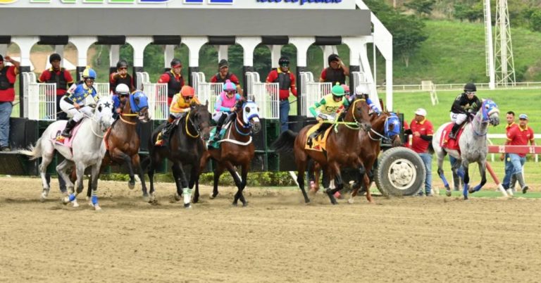 Datos hípicos de última hora en La Rinconada hoy 30 de agosto apuestas hipicas nacionales VIPbet