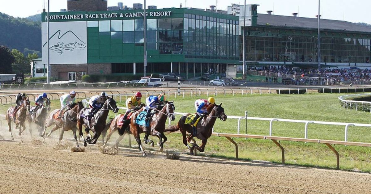 Datos y Picks Mountaineer Park para hoy 31 de agosto recomendaciones gratuitas horse racing VIPbet