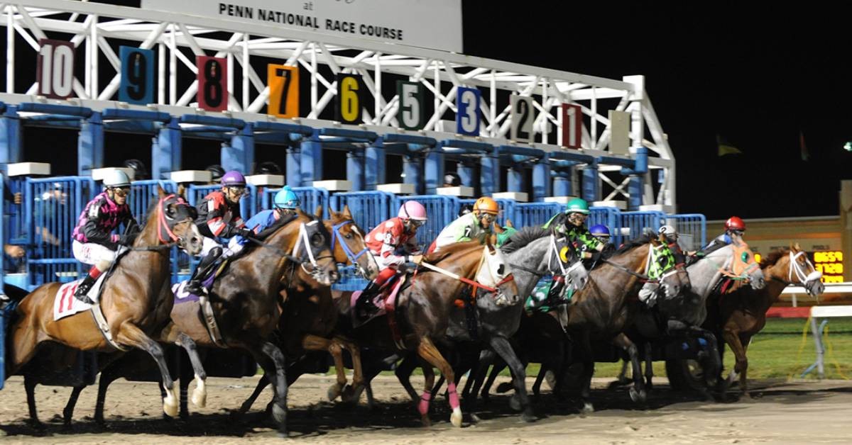 Datos y Picks del Hipódromo Penn National para hoy 5 de agosto VIPbet carreras americanas para tus apuestas de hoy