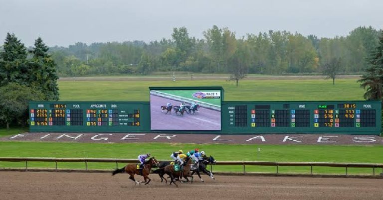 Finger Lakes datos y picks gratis para hoy 18 de agosto resultados en vivo VIPbet