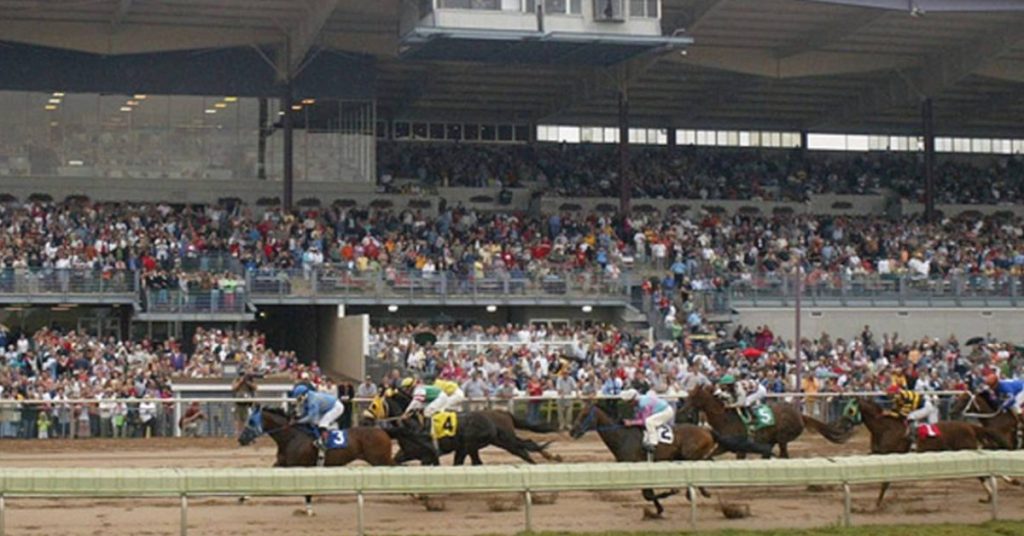 Finger Lakes picks gratis hoy 25 de agosto resultados de hipodromos americanos VIPbet