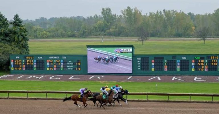 Finger Lakes picks para hoy 24 de agosto Horse Racing apuestas VIPbet
