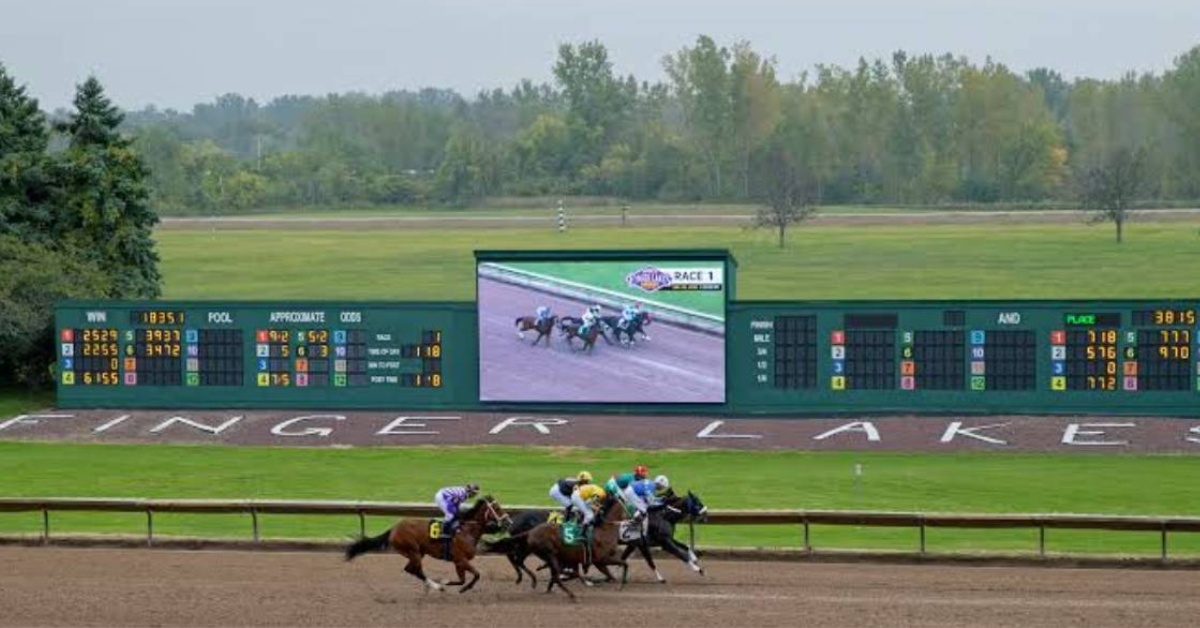 Finger Lakes picks para hoy 24 de agosto Horse Racing apuestas VIPbet