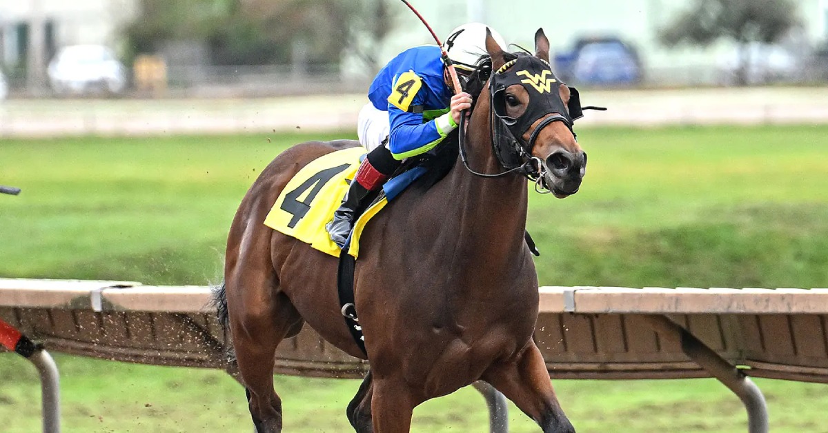 Finger Lakes picks para hoy 31 de agosto pronosticos y datos fijos de carreras americanas VIPbet