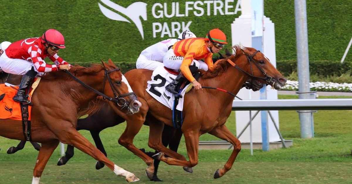 Gulfstream Park Picks de hoy 16 de agosto carreras americanas en VIPbet