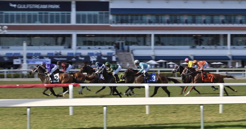 Gulfstream Park datos, picks y resultados para hoy 15 de agosto horse racing VIPbet apuestas hipicas americanas