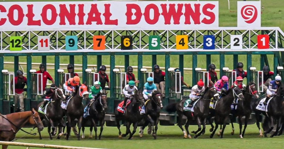 Hipódromo Colonial Downs picks de hoy 13 de agosto Horse Racing VIPbet pronosticos hipicos