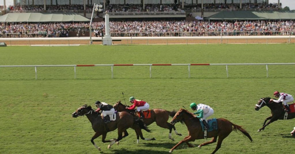Hipódromo Colonial Downs retrospectos de hoy 28 de agosto Carreras americanas VIPbet