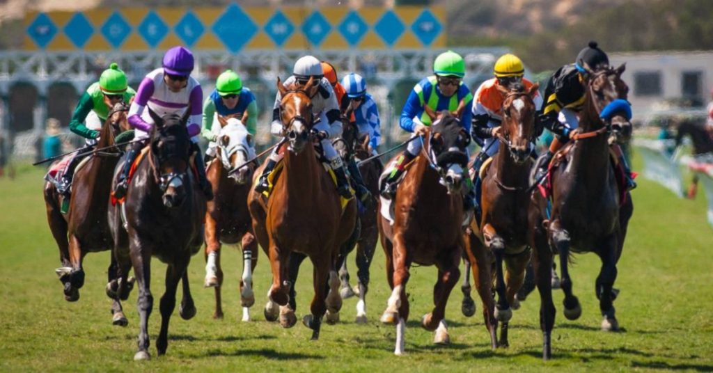 Hipódromo Del Mar picks de hoy 27 de agosto pronostico hipico en vivo VIPbet