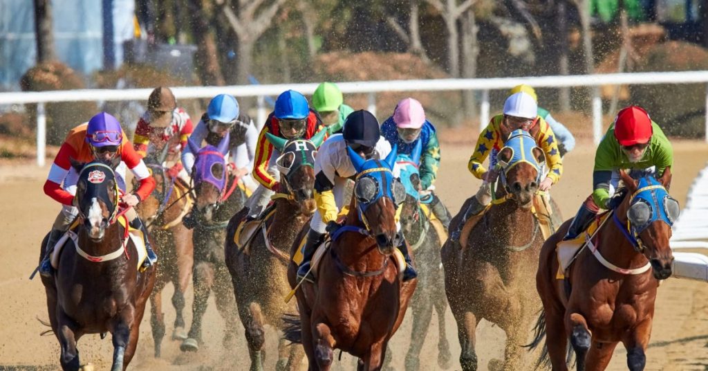 Hipódromo Del Mar picks de hoy 28 de agosto pronostico y selecciones gratuitas VIPbet