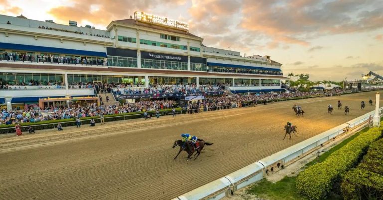 Hipódromo Gulfstream Park carreras americanas de hoy 1 de agosto picks y datos de hipismo internacional