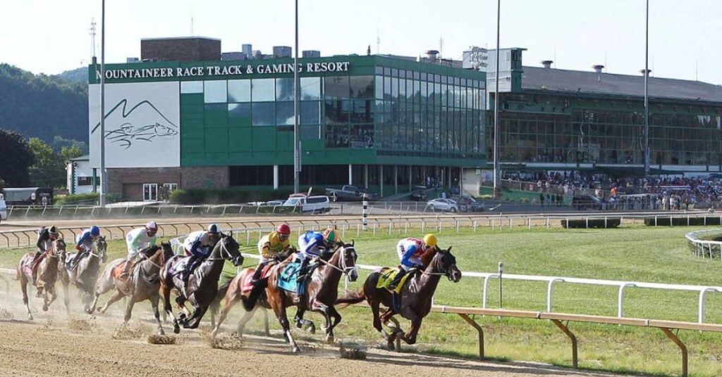 Hipodromo Mountaineer Park picks de hoy 19 de agosto Horse Racing VIPbet apuestas hipicas