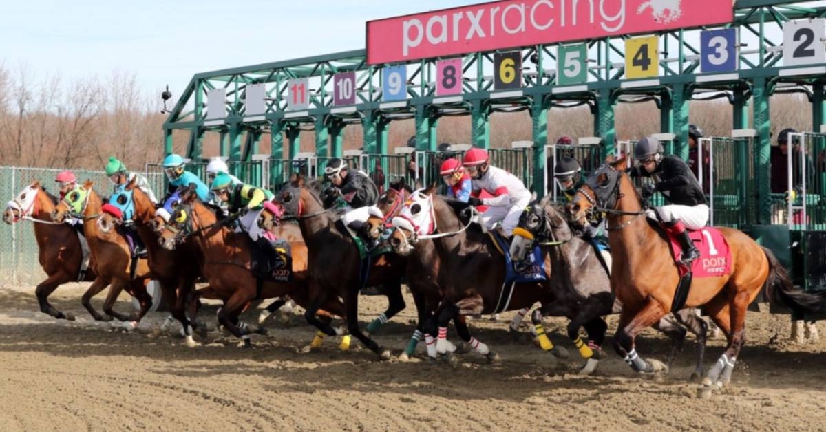 Hipódromo Parx Racing Picks y Datos de hoy 24 de agosto resultados de carreras americanas VIPbet apuestas