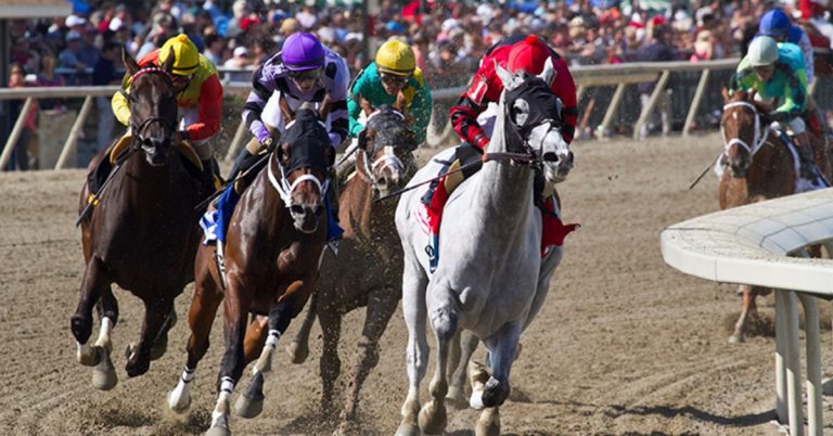Parx Racing Picks de hoy 1 de septiembre resultados en vivo VIPbet