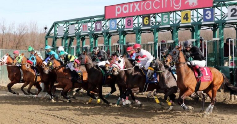 Parx Racing Picks de hoy 26 de agosto Programa y resultados en vivo VIPbet apuestas hipicas