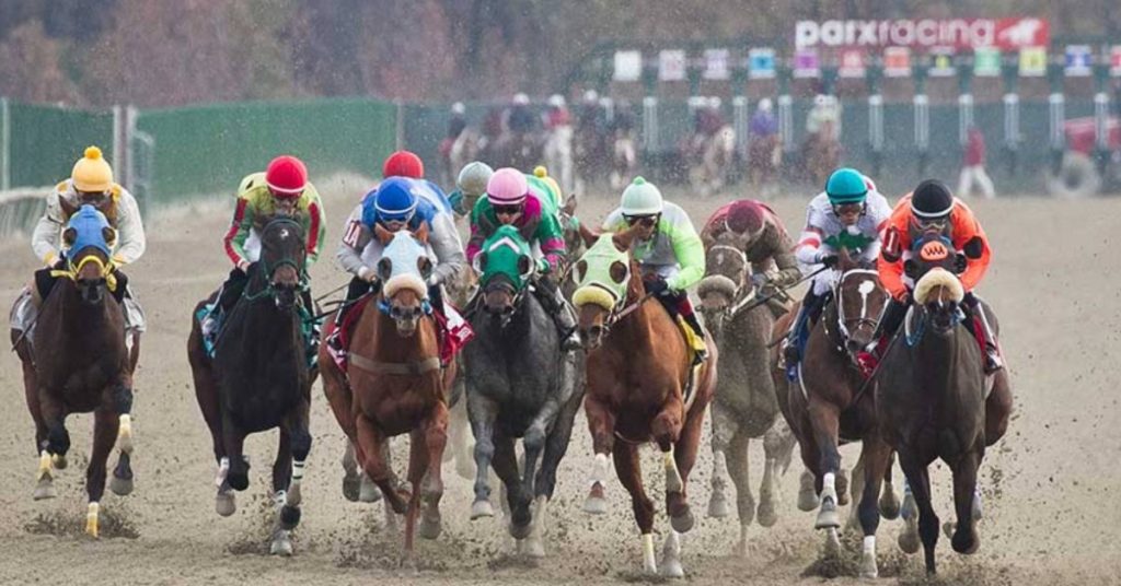Parx Racing picks gratis de hoy 18 de agosto resultados de carreras americanas VIPbet apuestas hipicas