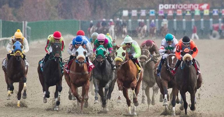 Parx Racing picks gratis de hoy 18 de agosto resultados de carreras americanas VIPbet apuestas hipicas